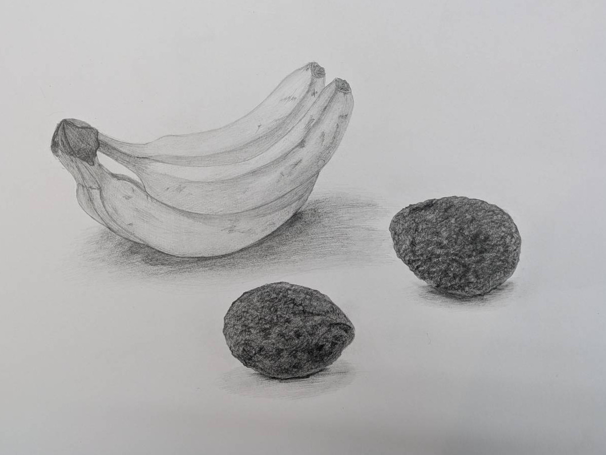 香蕉与水果（静物写生）