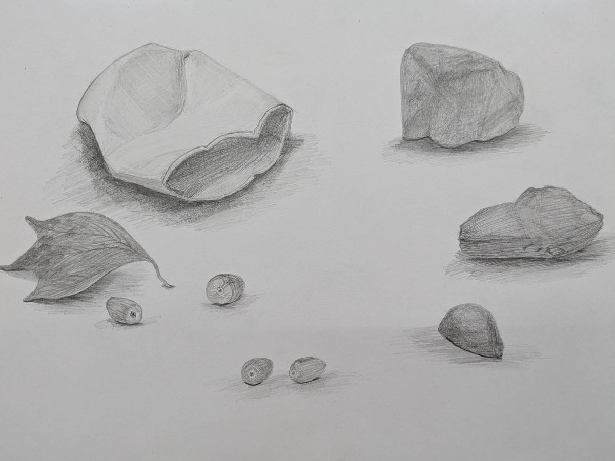 纸张・叶片・果实（组合练习）